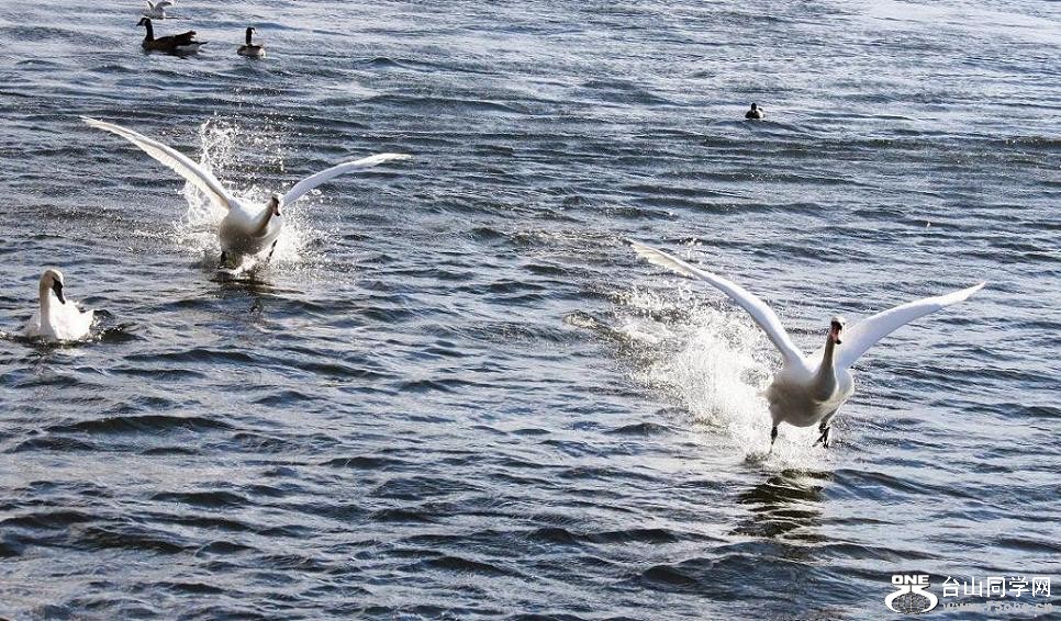 �}�u -IMG_1236ss.jpg