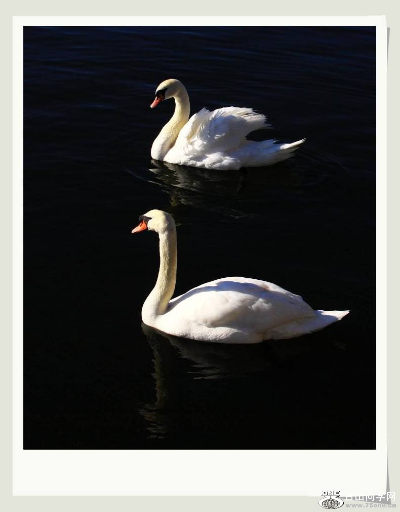 �}�u -IMG_1314aa.jpg