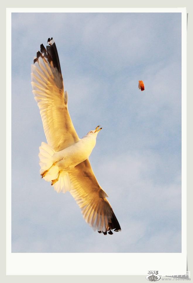 �}�u -IMG_1015nn.jpg