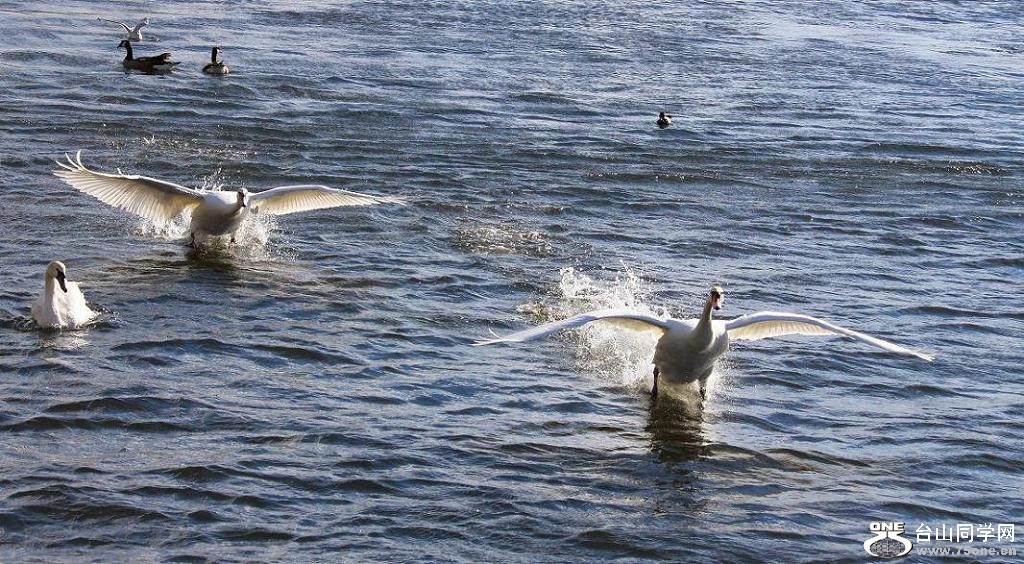 �}�u -�}�u -IMG_1235bb.jpg