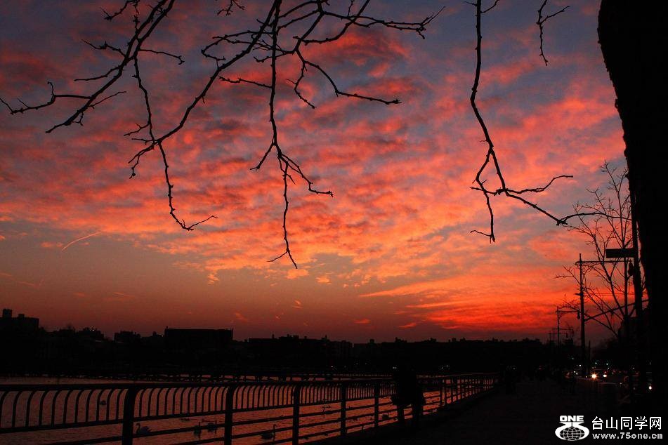 �}�u -IMG_1133ss11.jpg