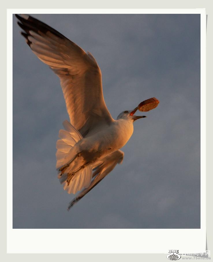 �}�u -IMG_1041yy.jpg