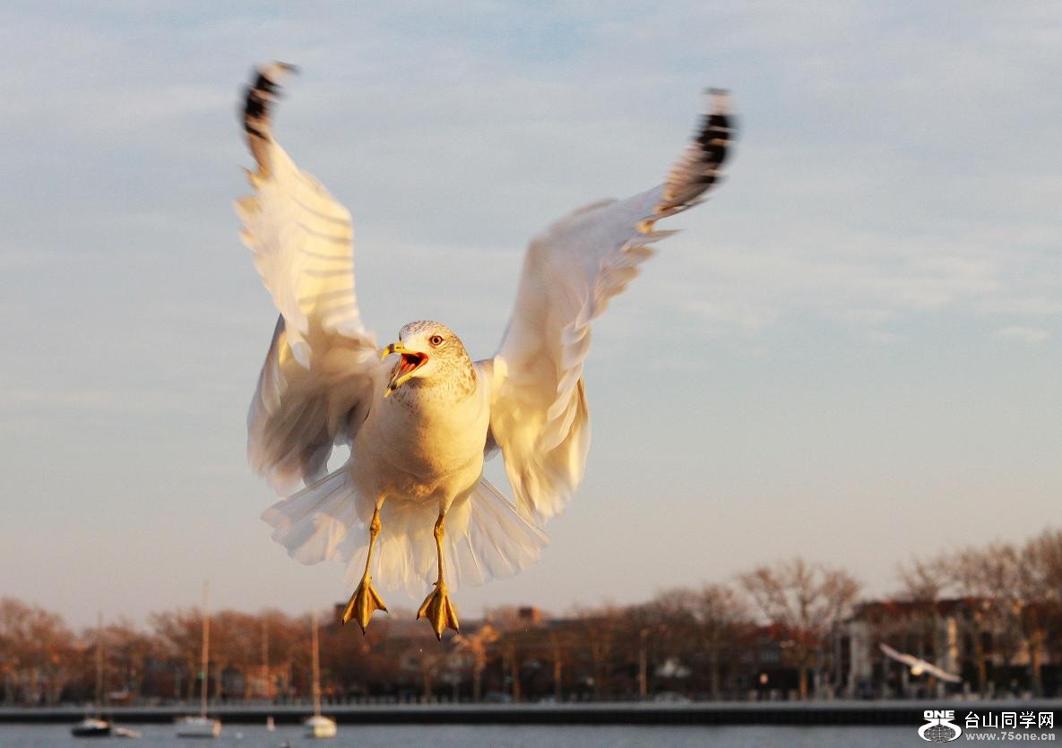 �}�u -IMG_0998aa.jpg