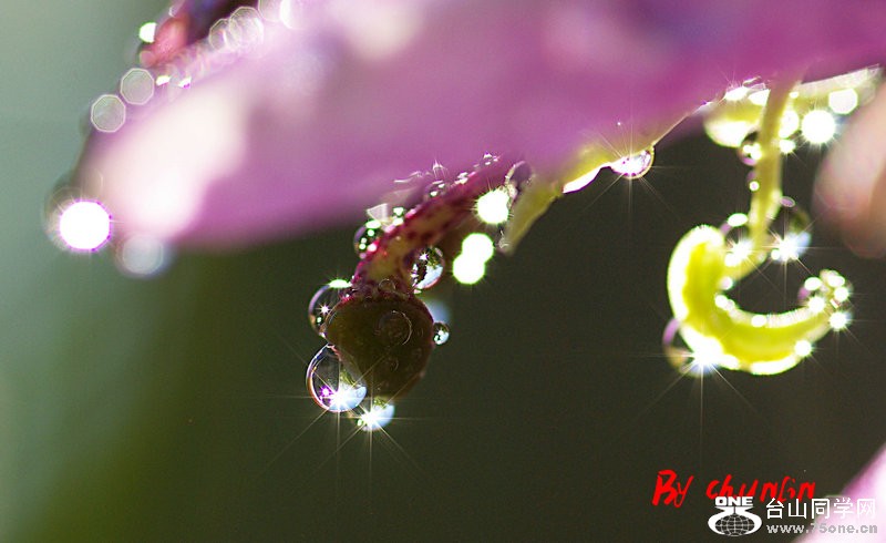 IMGP2714a.jpg