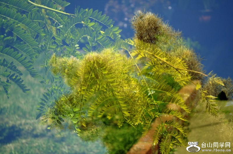 _CSC0794 [800x600].jpg