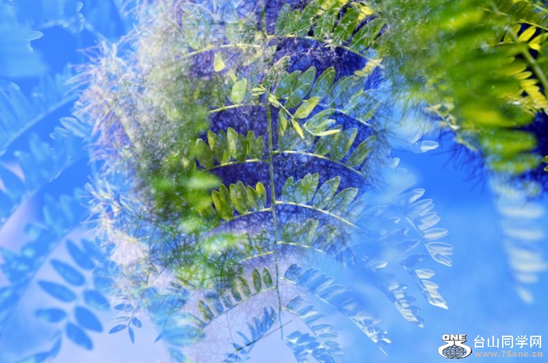 _CSC0762 [800x600].jpg