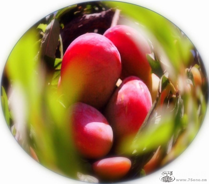 Picture3 [800x600].jpg