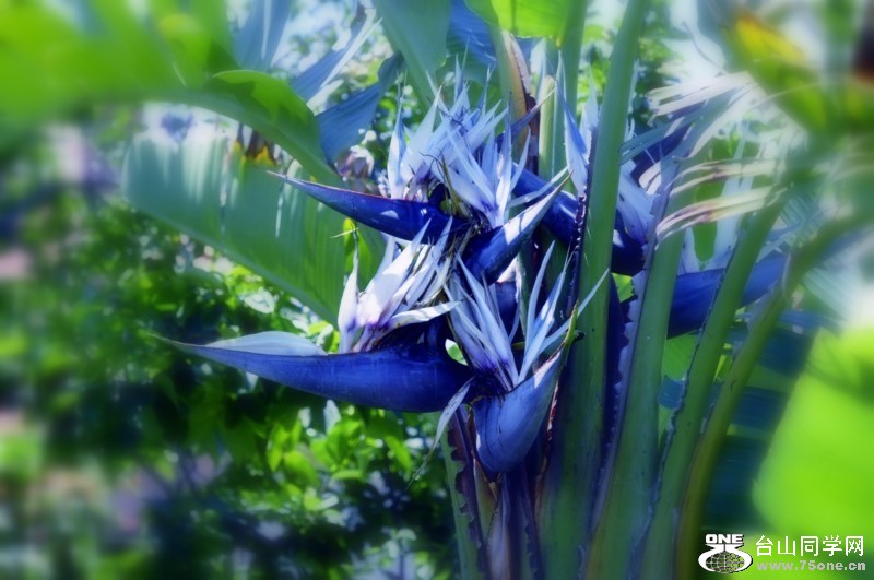 _CSC0878 [800x600].jpg