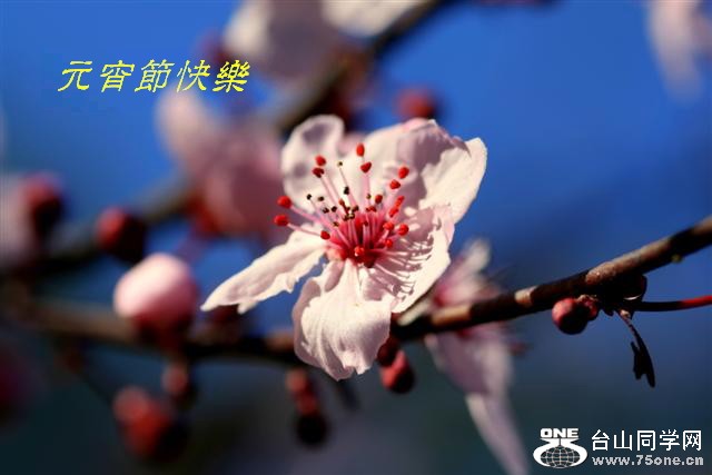 IMG_05755 (Small)1.jpg