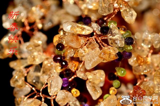 IMG_02811 (Small)1.jpg