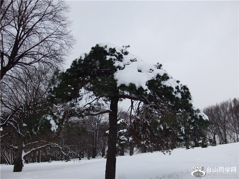 DSCF1385_.jpg