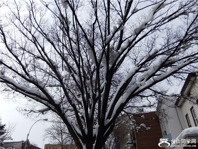 DSCF1296_.jpg