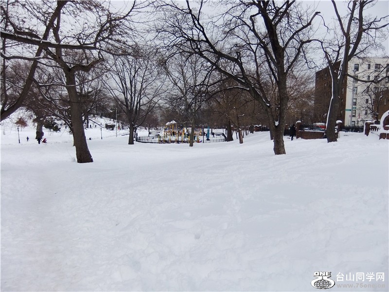 DSCF1318_.jpg