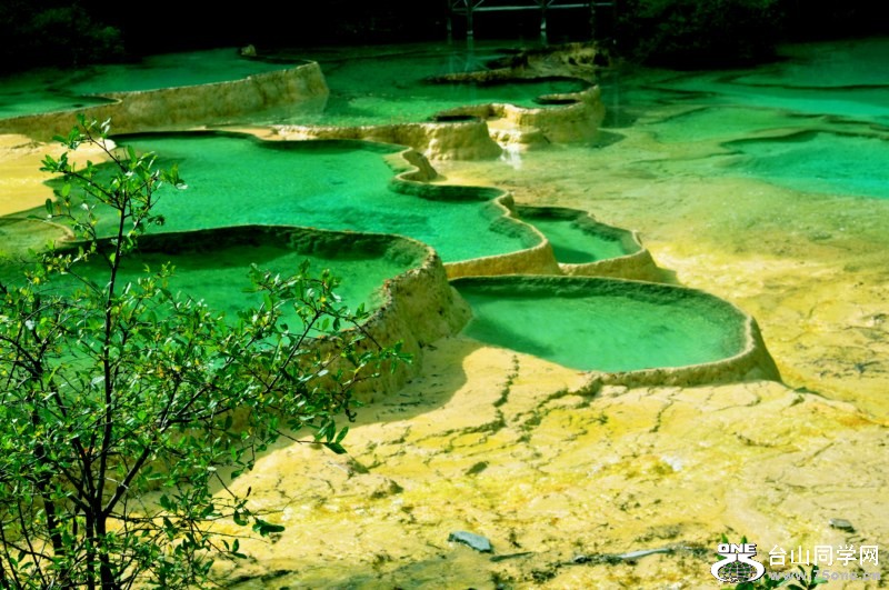 CSC_0805 [800x600].jpg