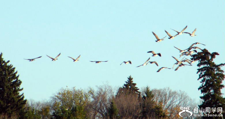 DSCF4380.jpg