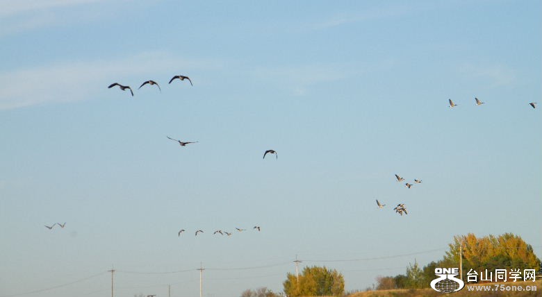 DSCF4386.JPG