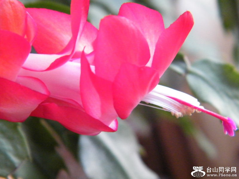 DSCF6325.JPG