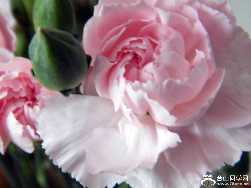 DSCF6373.JPG