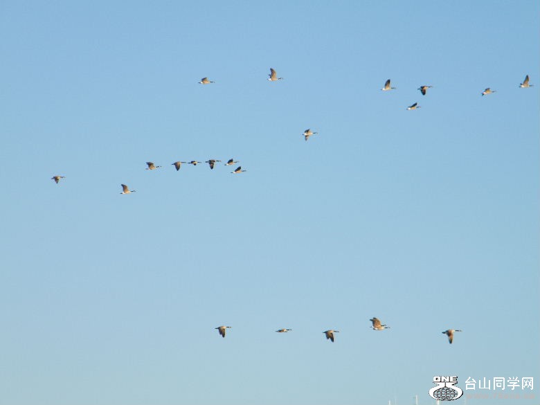 DSCF4395.JPG