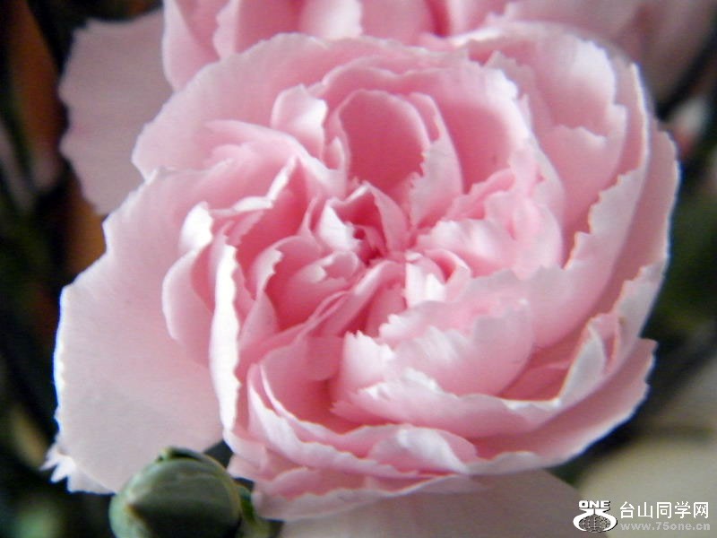 DSCF6371.JPG