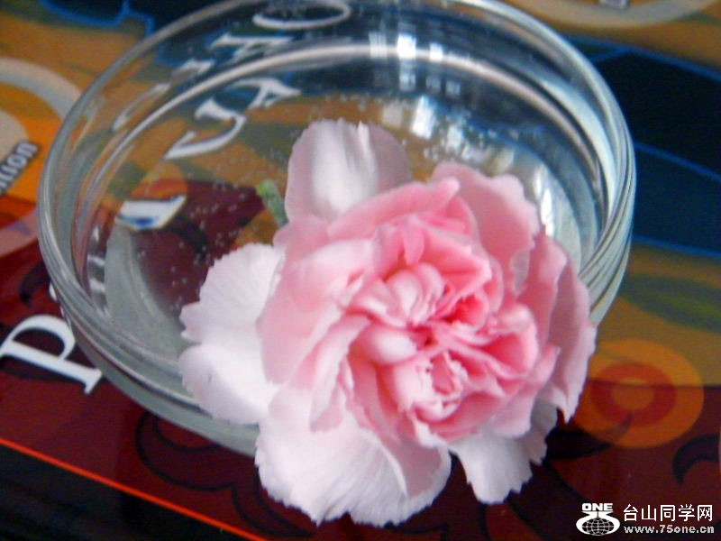 DSCF6374.JPG