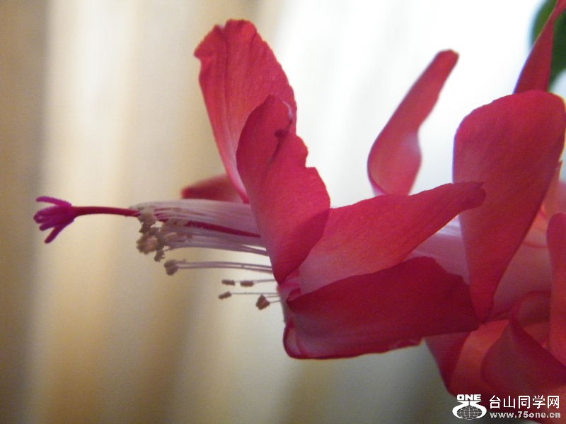 DSCF6083.JPG