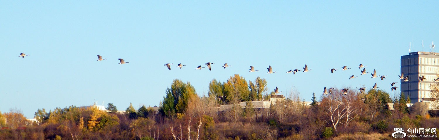 DSCF4392.jpg