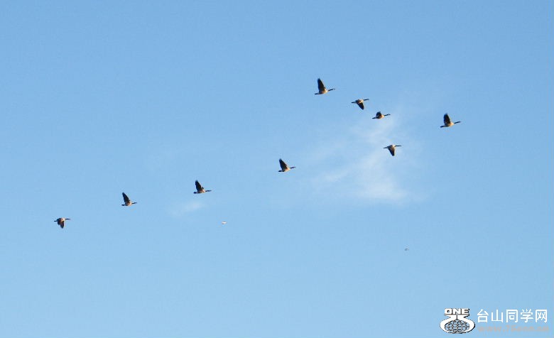 DSCF4412.JPG