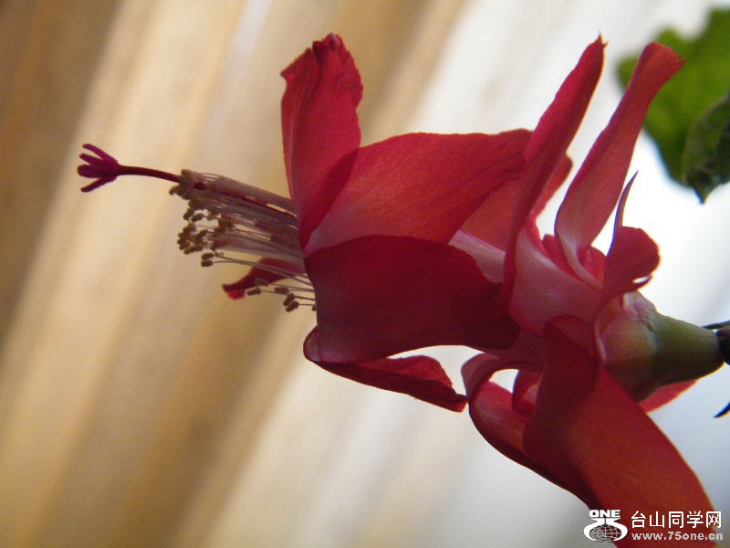 DSCF6084.JPG