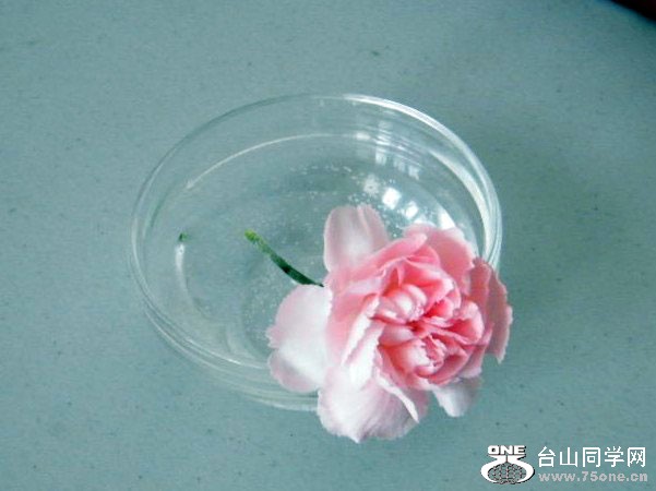 DSCF6378.JPG