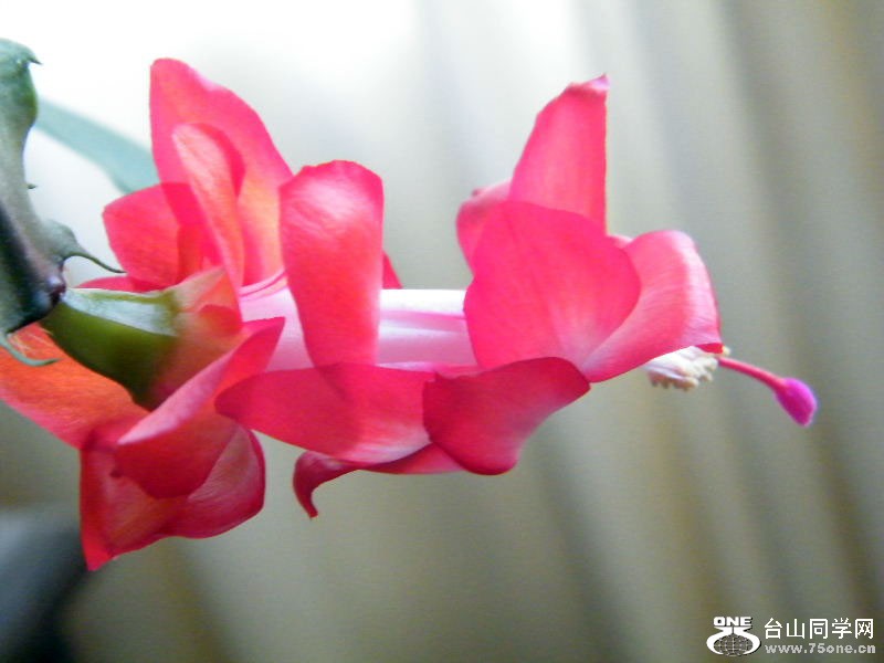 DSCF6326.JPG