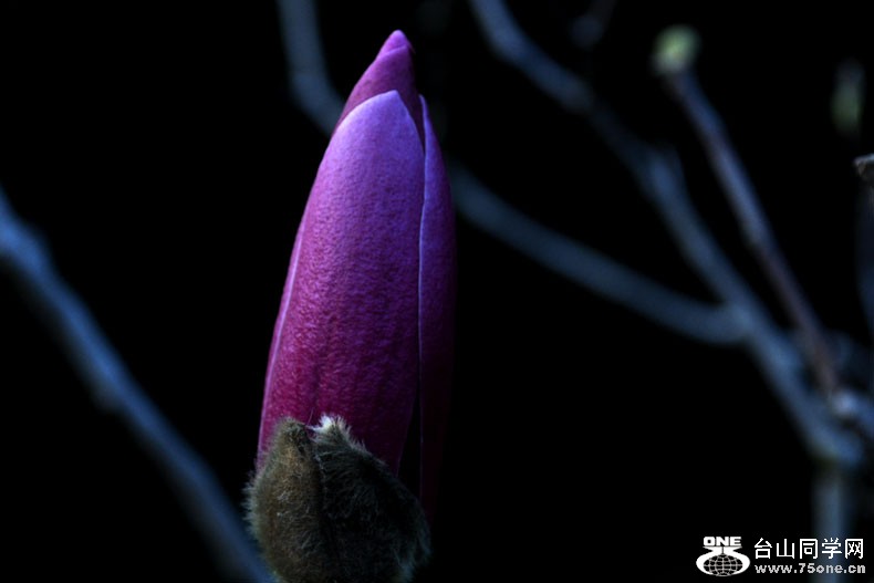 Ƭ 086.jpg