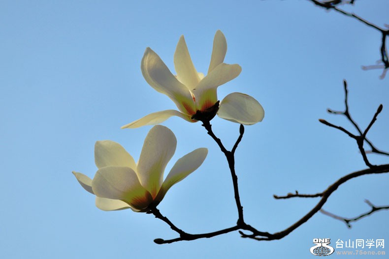 Ƭ 064.jpg