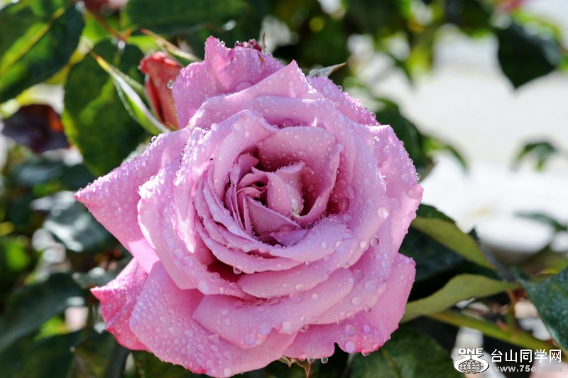 DSC_6765.JPG