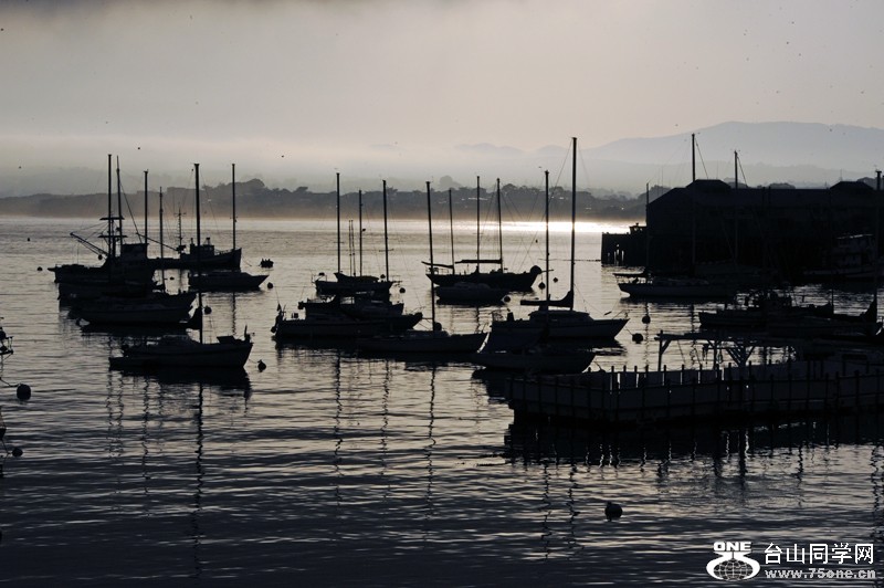 DSC_1724.JPG