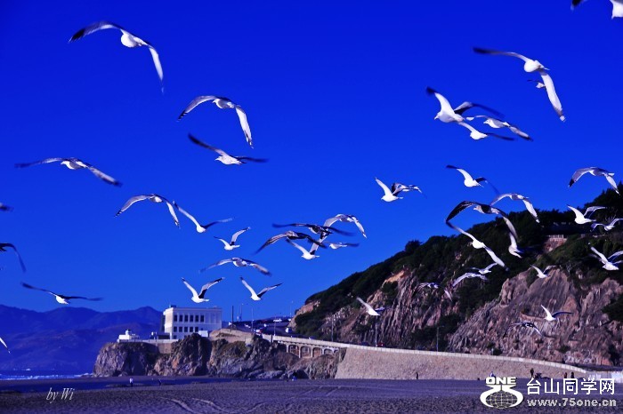 DSC_2139_conew2.jpg