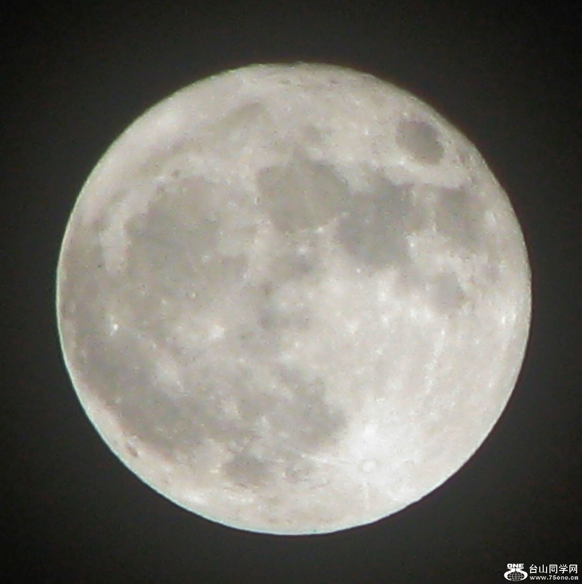 19.3.2011 009.jpg