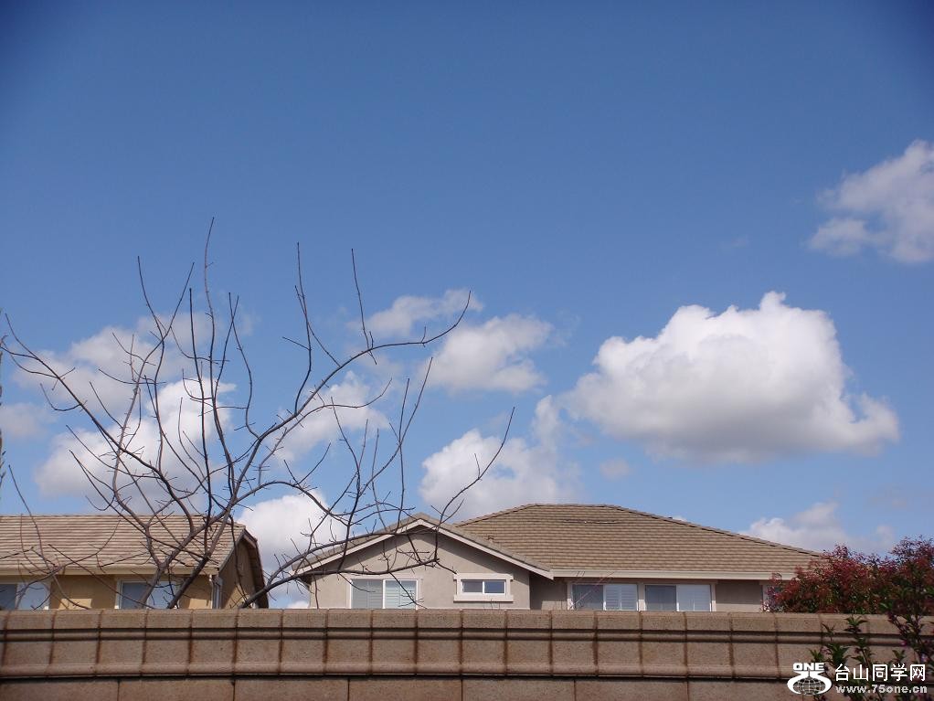 DSC02847.JPG