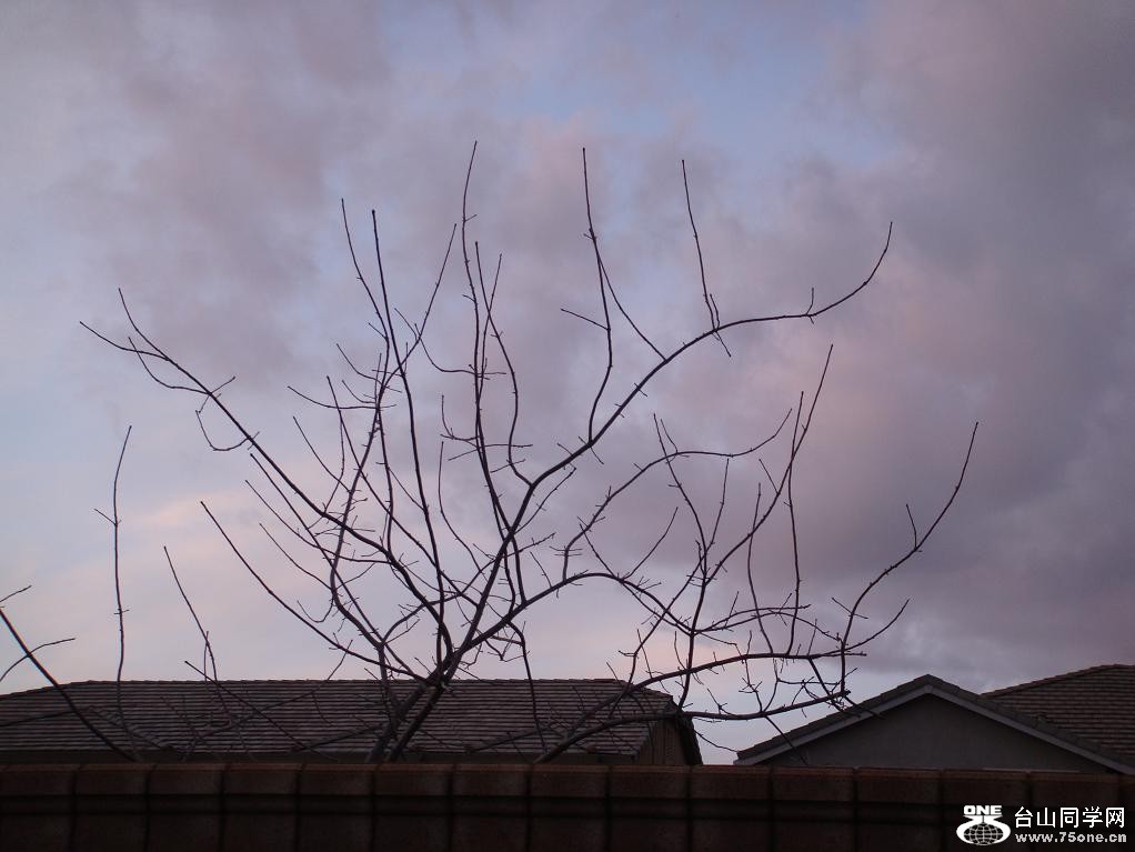 DSC02836.JPG