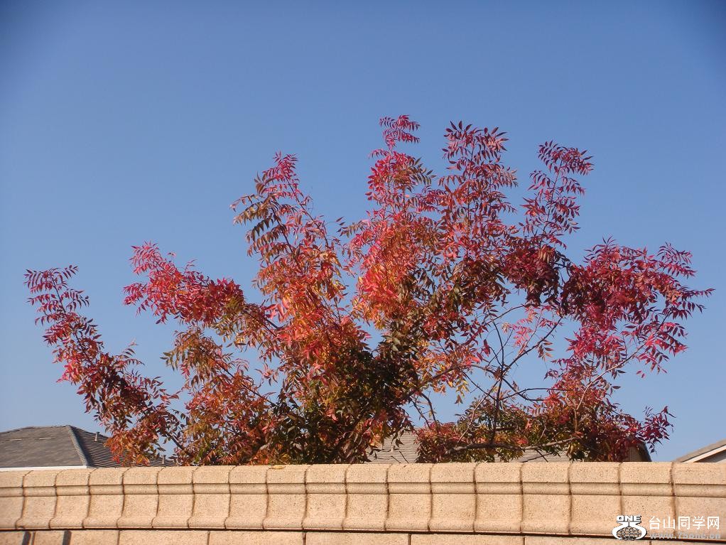 DSC01065.JPG