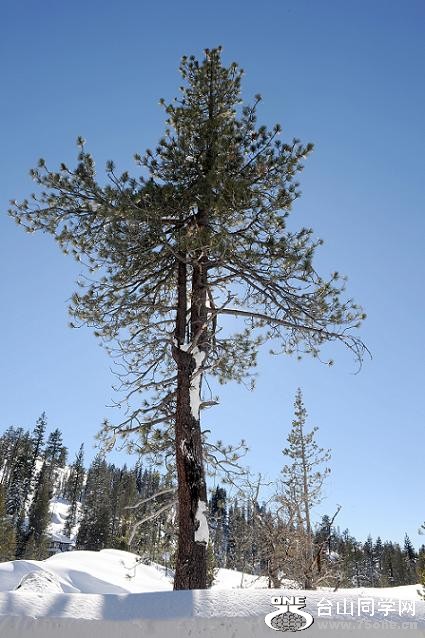 DSC_5615.JPG