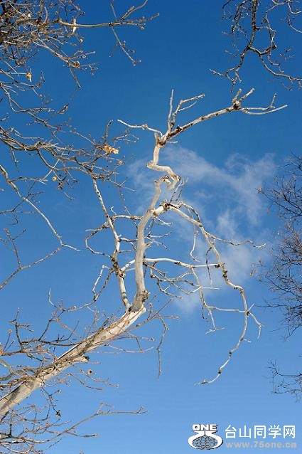 DSC_3830.JPG