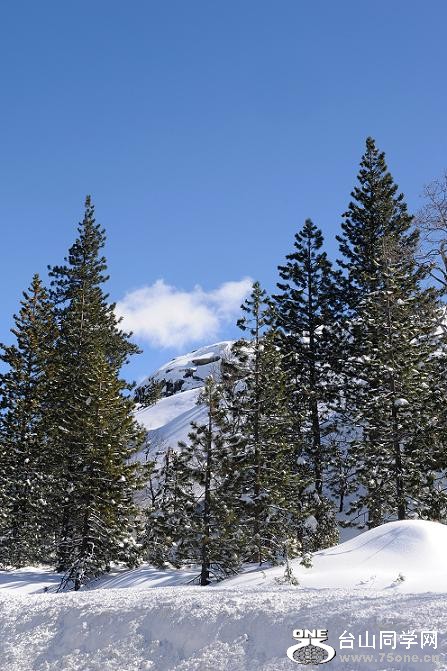 DSC_3875.JPG