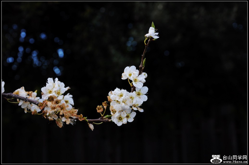DSC_3499.jpg