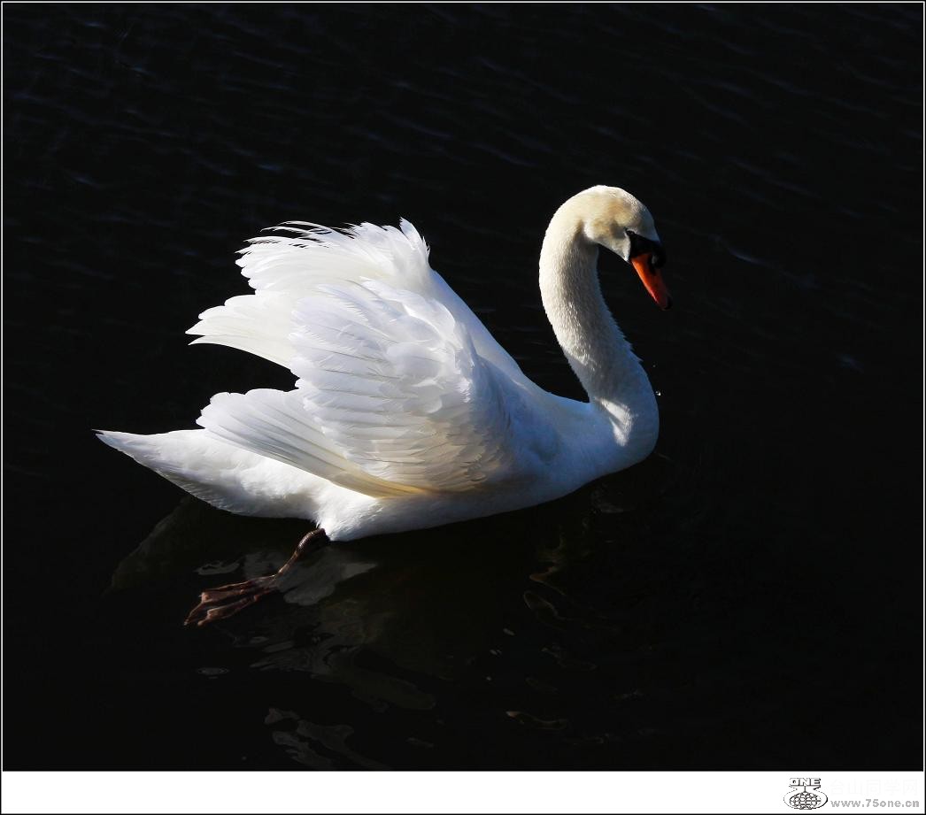 �}�u -�}�u -IMG_2973.jpg