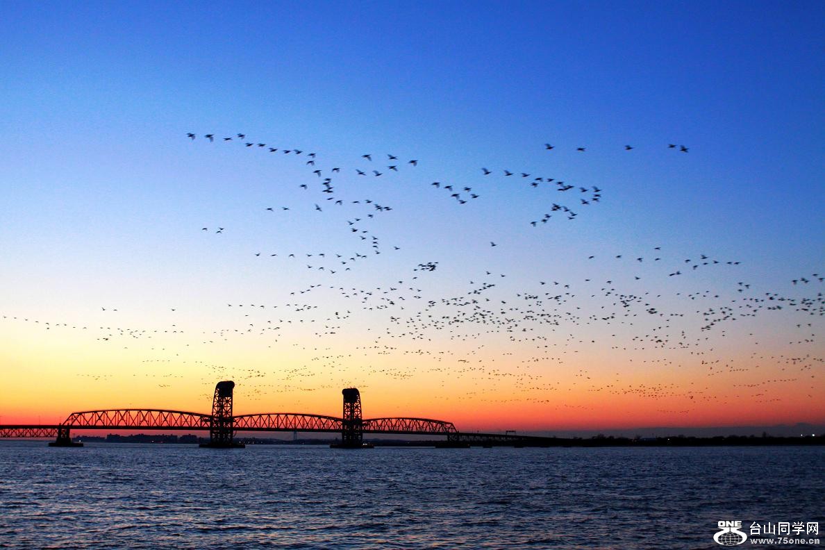 �}�u -IMG_2210aa.jpg