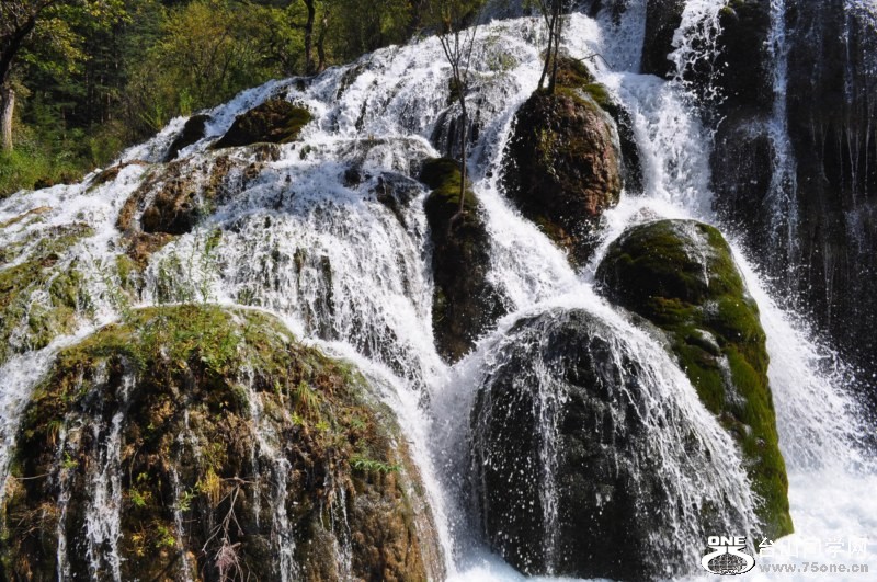 DSC_1371 [800x600].jpg