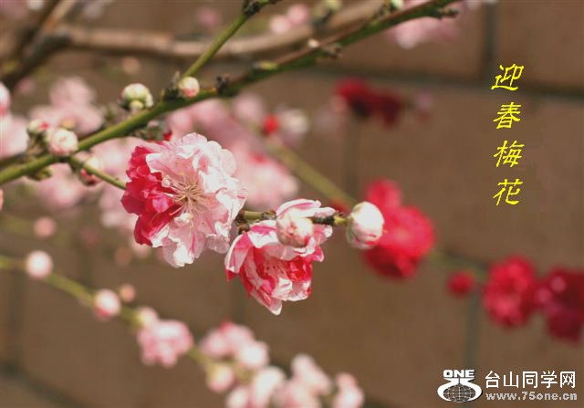 IMG_09977 (Small)1.jpg