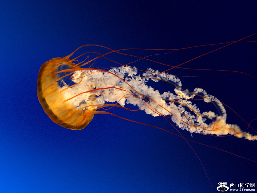 808 162.jpg