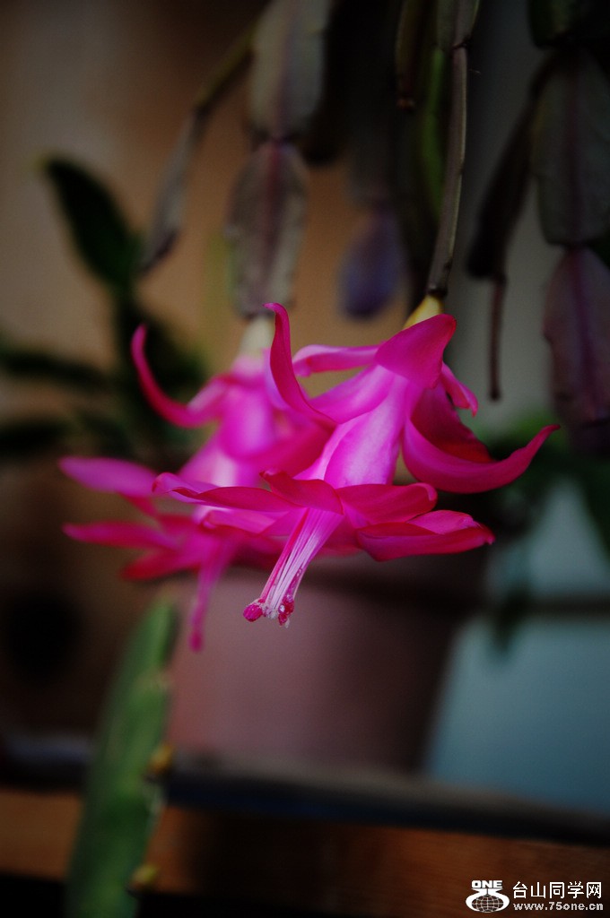 DSC_3791.jpg